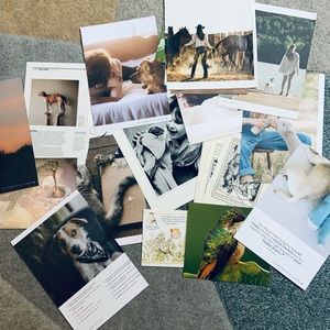 Ephemera Animal Lover Magazine Pages